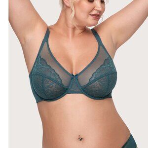 HSIA Teal Lace Underwire Bra Size 34D NWT
